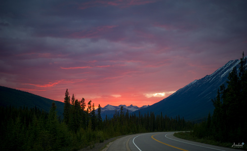 Ara+Roselani+-+Aralani+Photography+-+Jasper+National+Park+Sunset.jpg