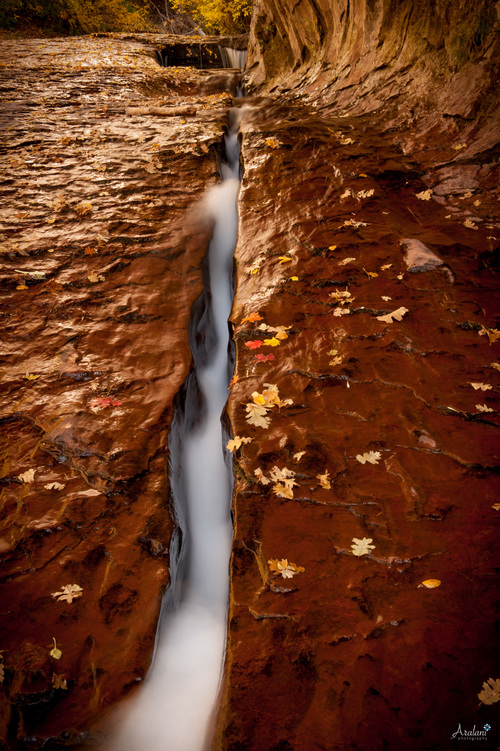 Ara+Roselani+-+Aralani+Photography+-+The+Subway+Crack+in+Zion+National+Park.jpg