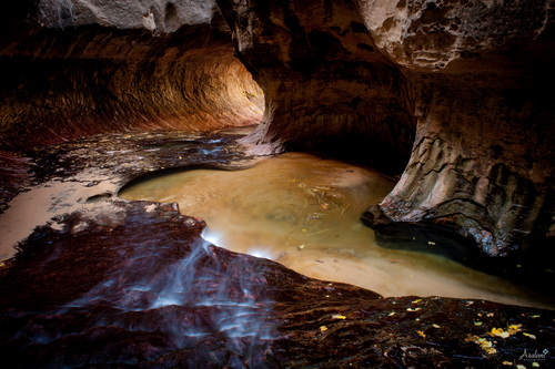 Ara+Roselani+-+Aralani+Photography+-+The+Subway+in+Zion+National+Park.jpg