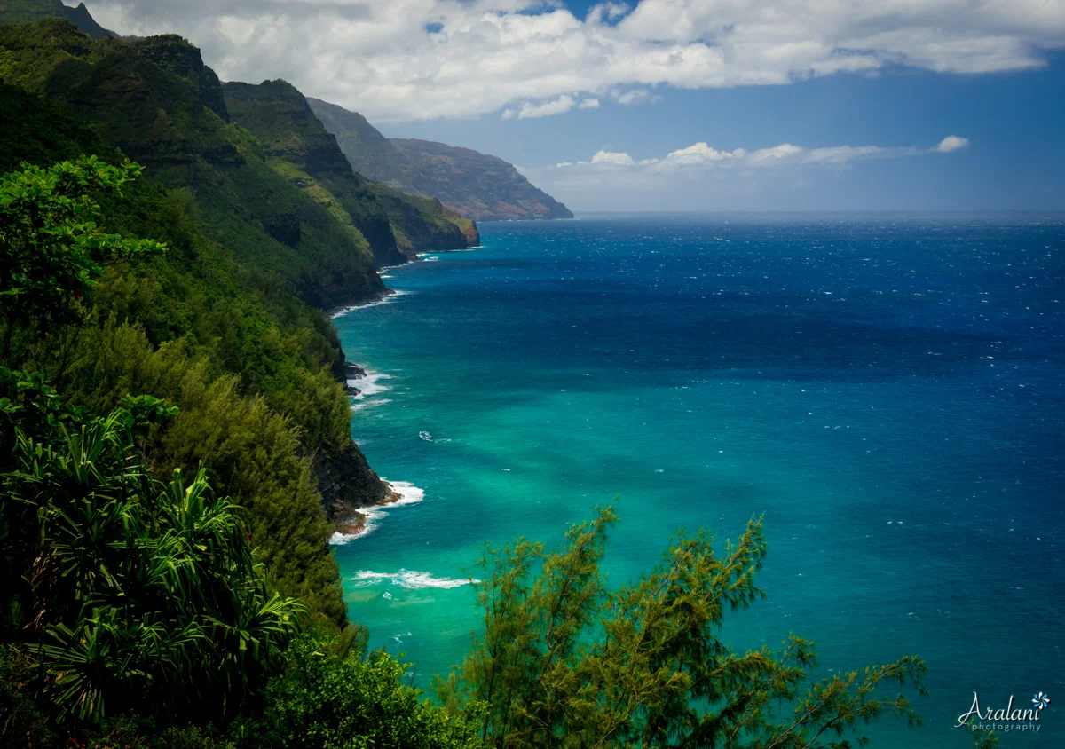 Kauai_Trip_Report0016.jpg