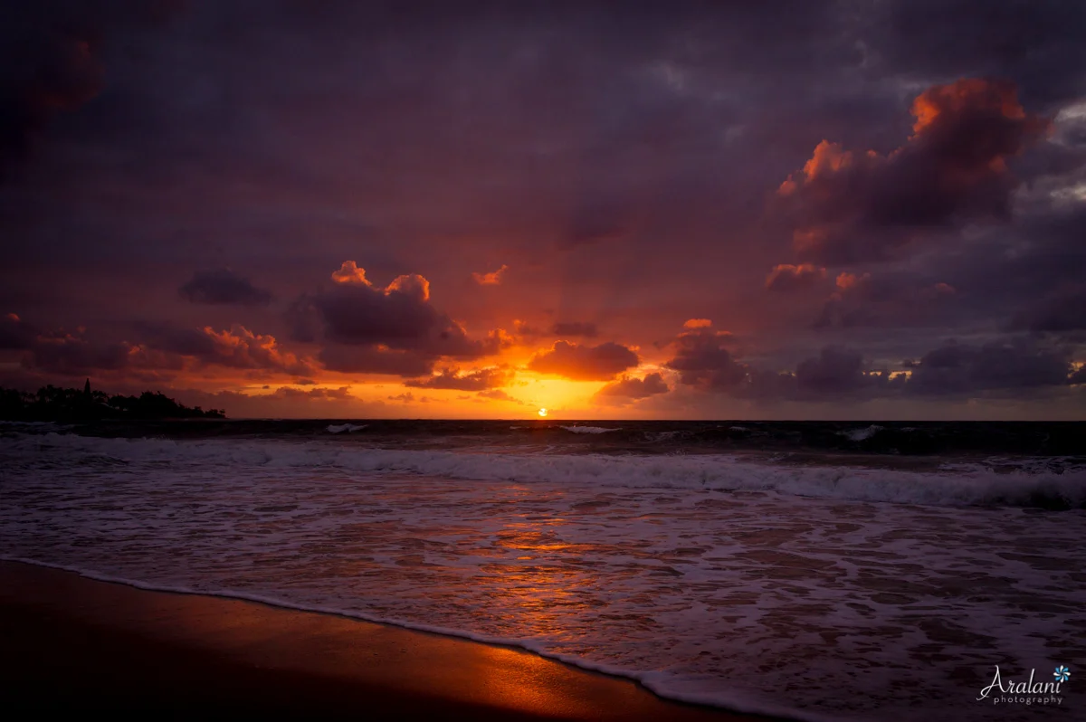 Kauai+Trip+Report.jpg