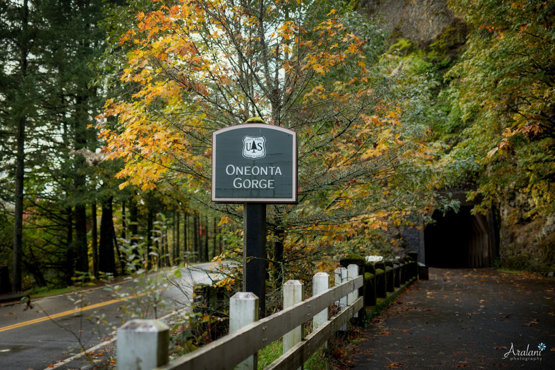 Oneonta_Gorge_Elopement001.jpg