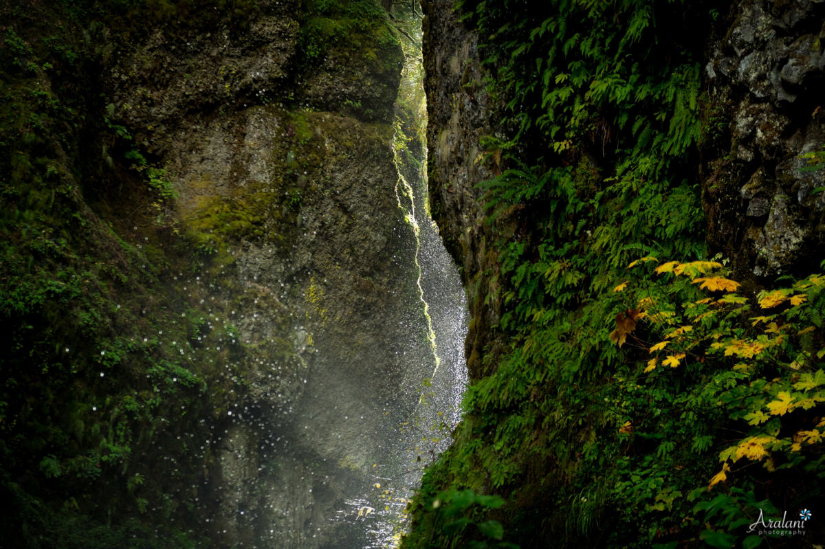 Oneonta_Gorge_Elopement018.jpg