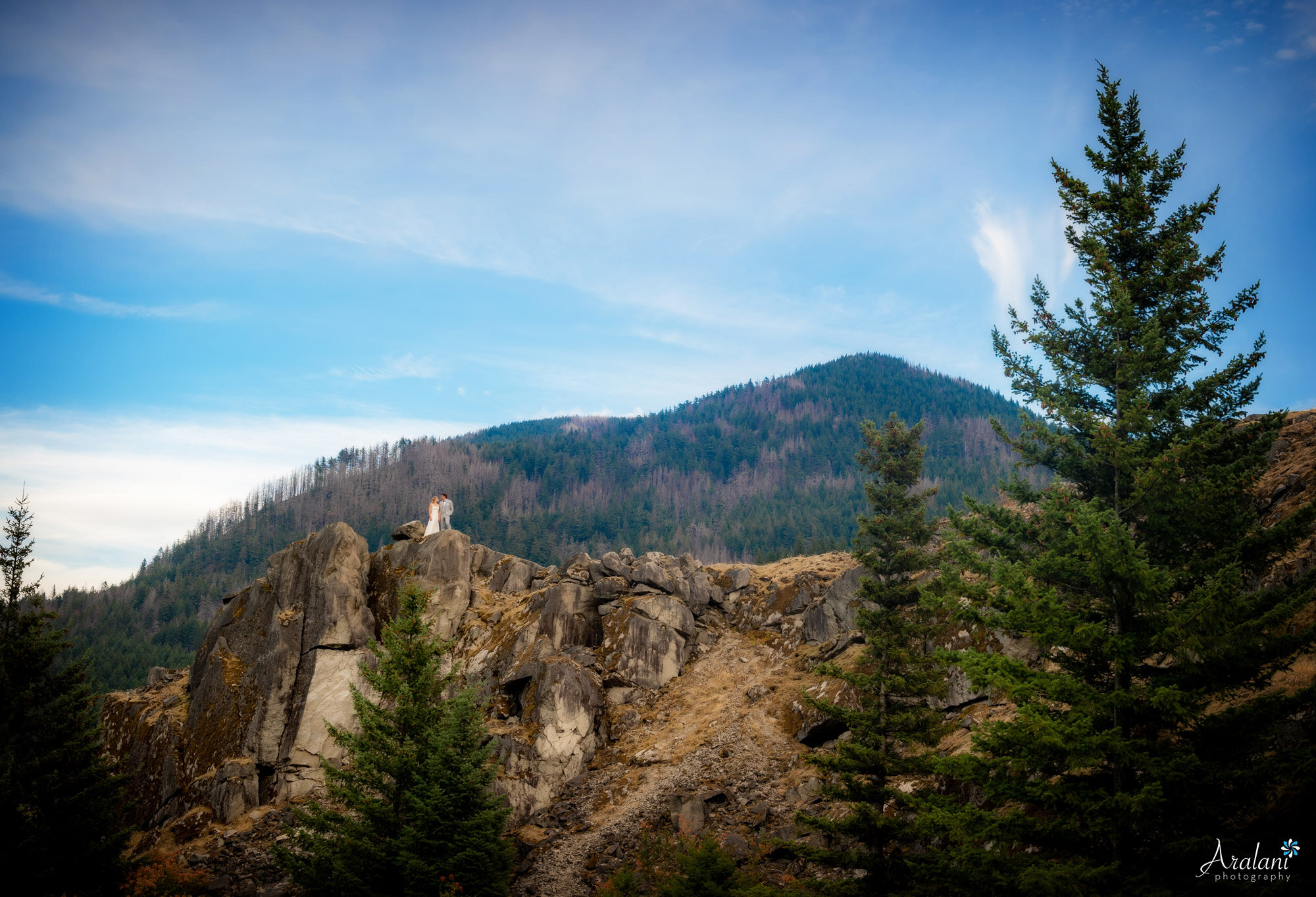 Courtney-Jimmy-029-Columbia-River-Gorge-Government-Cove-Latourell-Falls-Oregon-Wedding-Elopement-Photographer-Aralani-Photography-Courtney_Jimmy_W0225.jpg