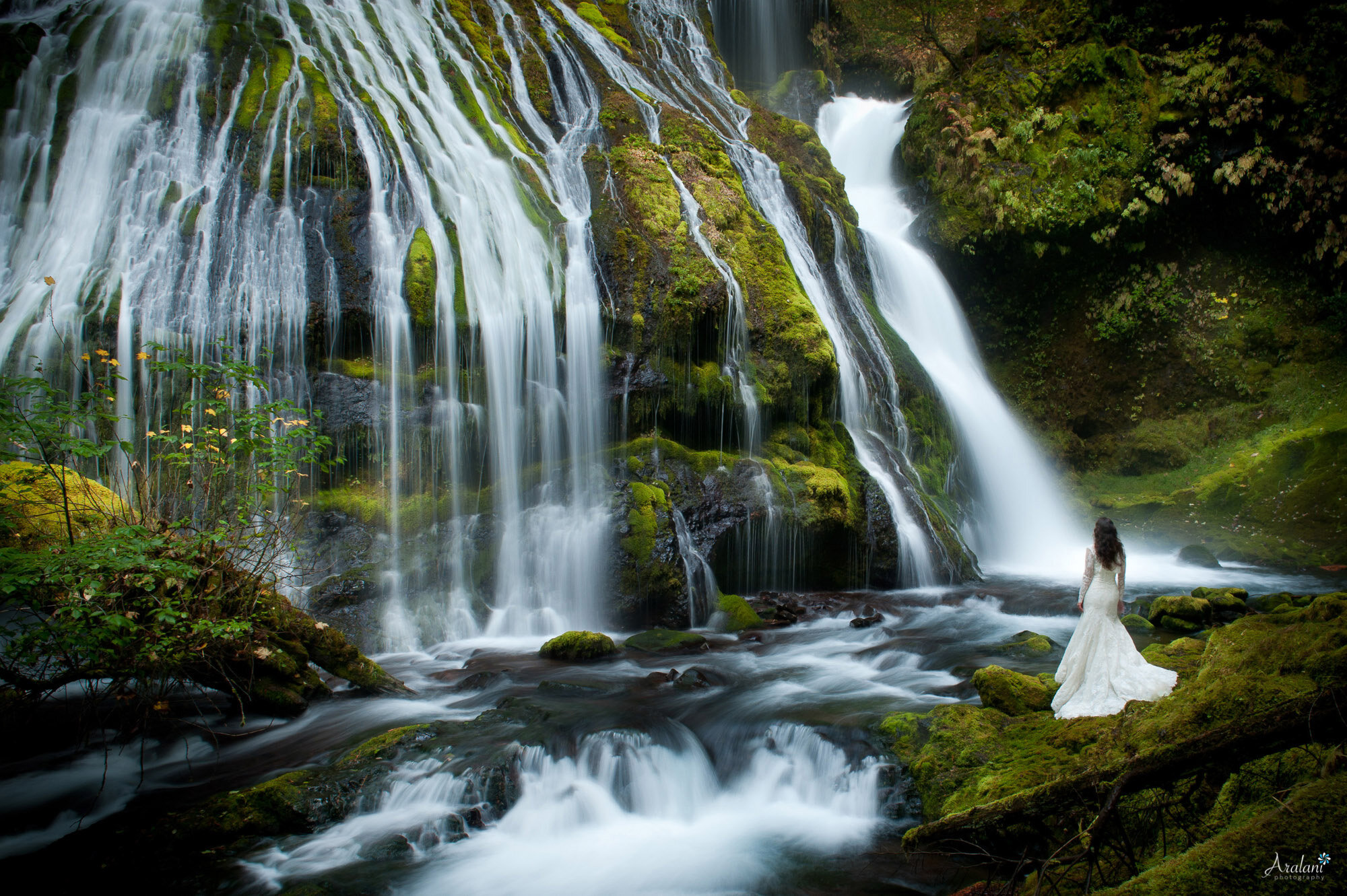 022_Erica-Jim-Panther-Creek-Falls-Washington-001-Wedding-Photographer-Aralani-Photography.jpg