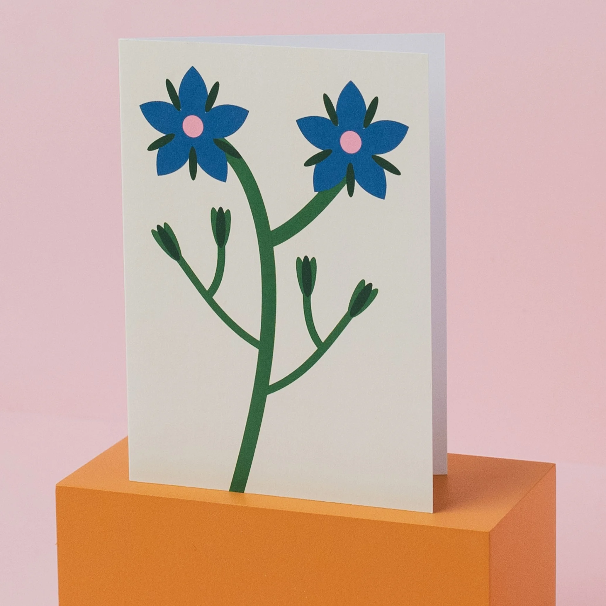 SuzieWinsorStudio-borage_card_open.jpg