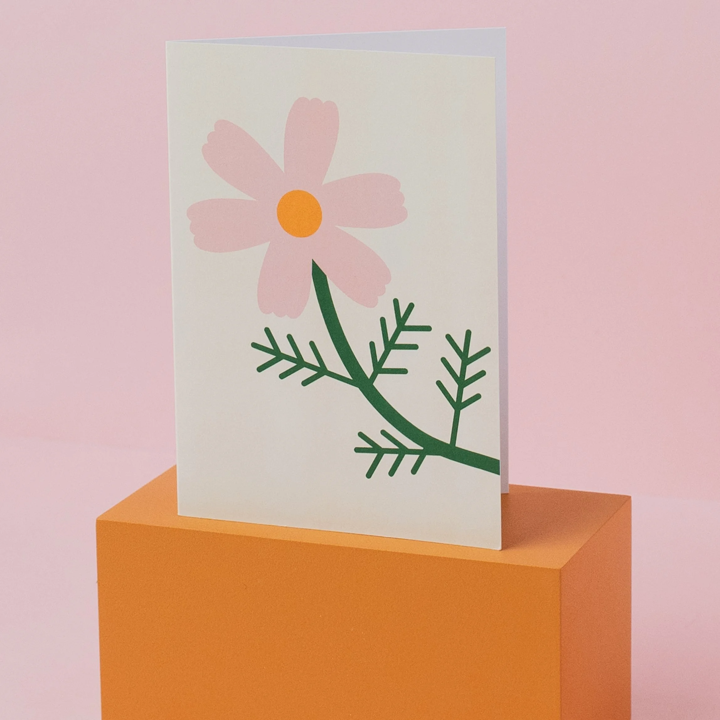 SuzieWinsorStudio-cosmos_open.jpg