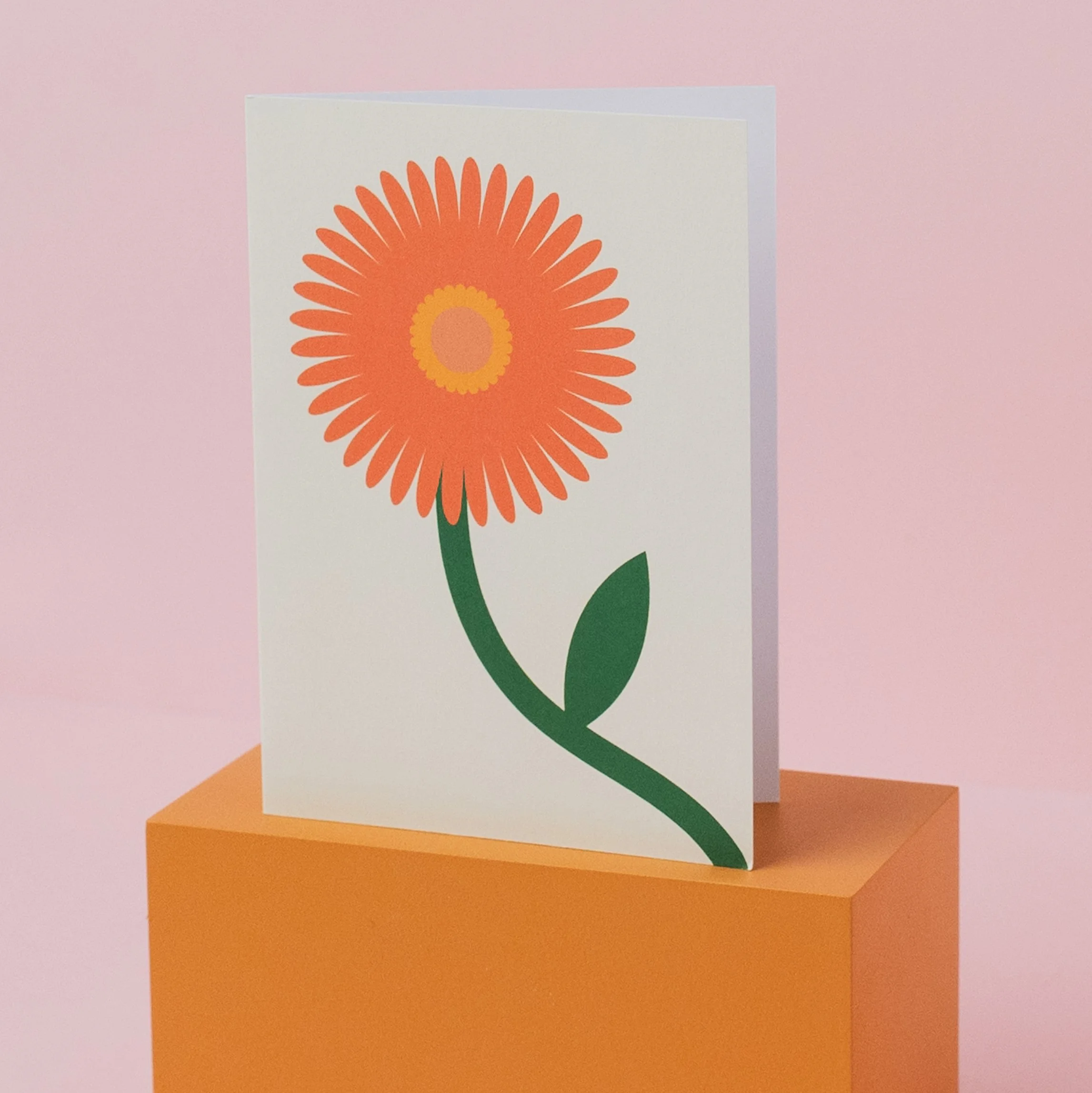 SuzieWinsorStudio-marigold_open.jpg