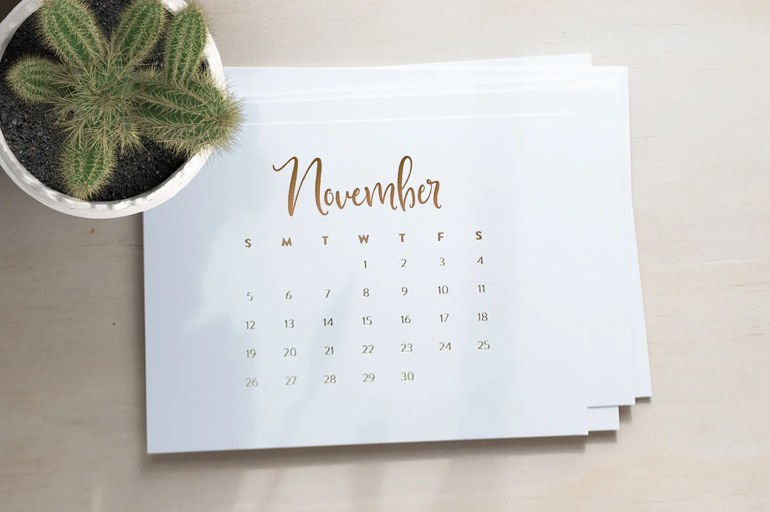 MagnoliaMerchant_Preview_07.jpg