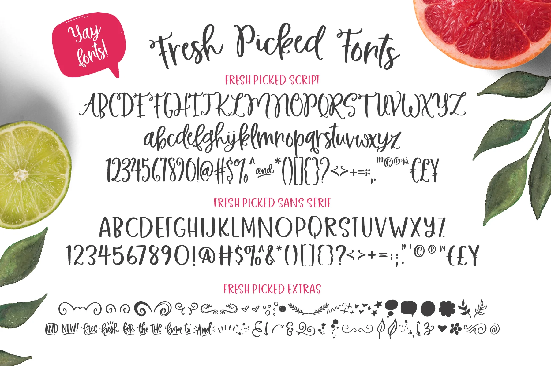 FreshPicked_Preview4.jpg