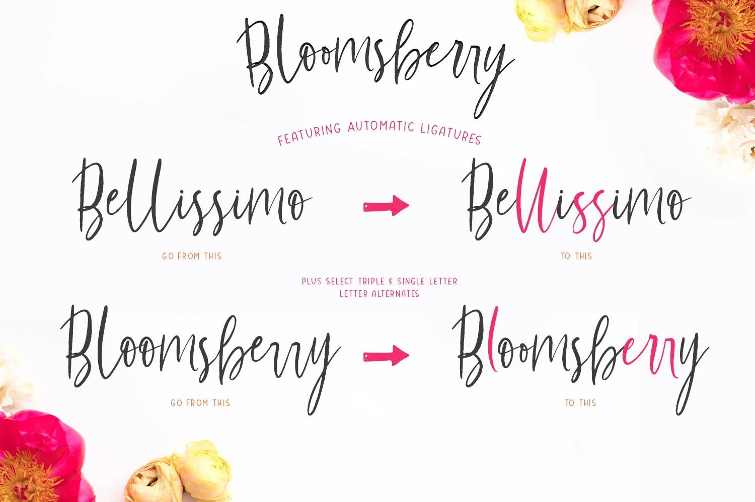 Bloomsberry_010.jpg