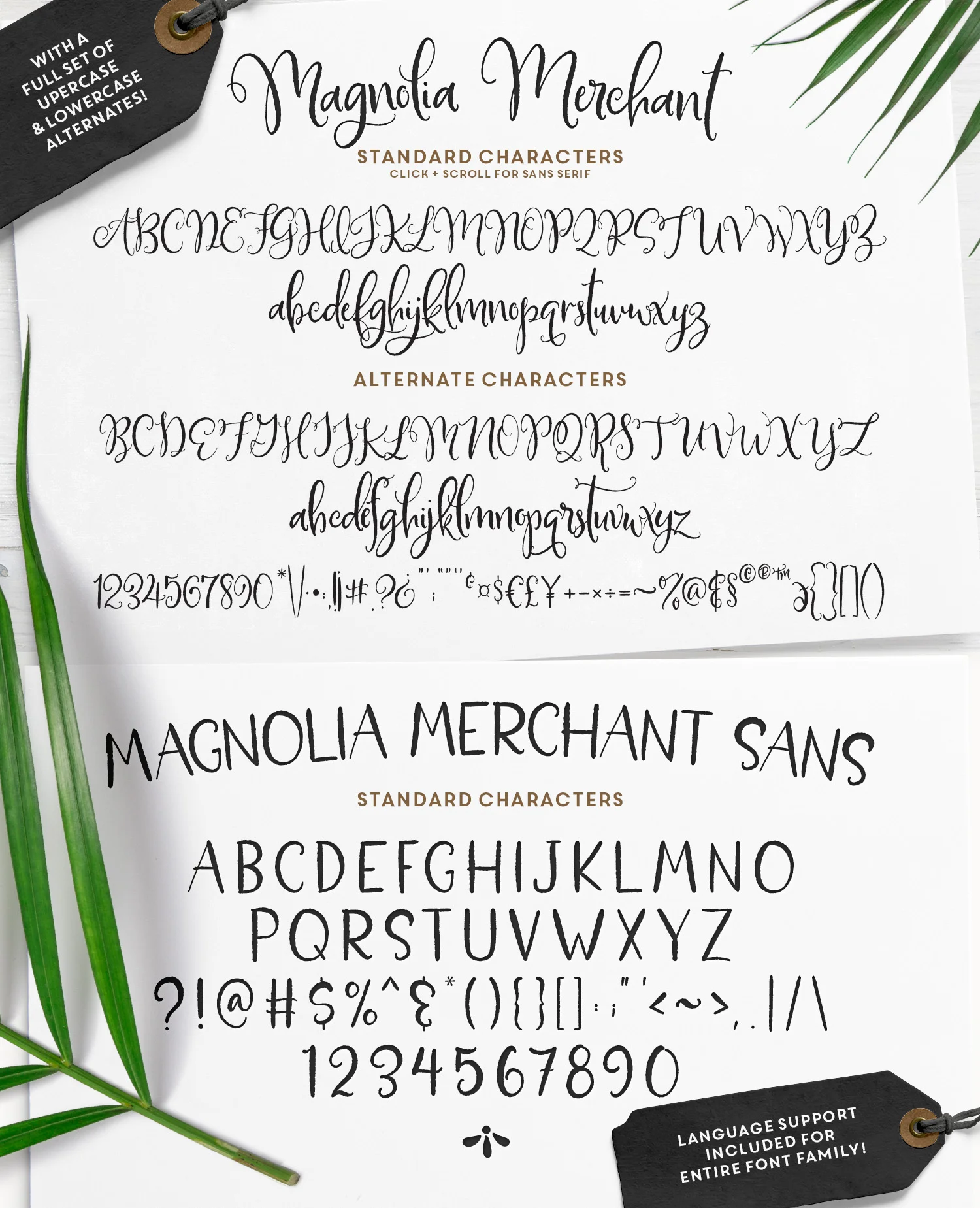 MagnoliaMerchant_Preview_08.jpg
