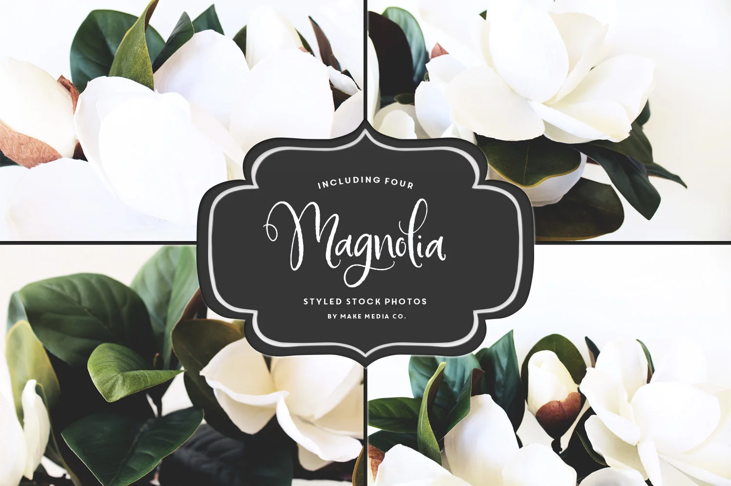 MagnoliaMerchant_Preview_014.jpg