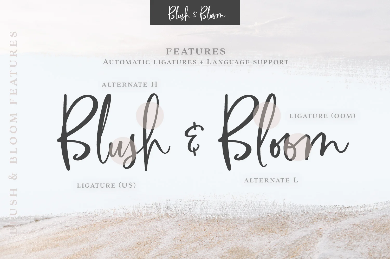 BlushBloom_Preview13.jpg