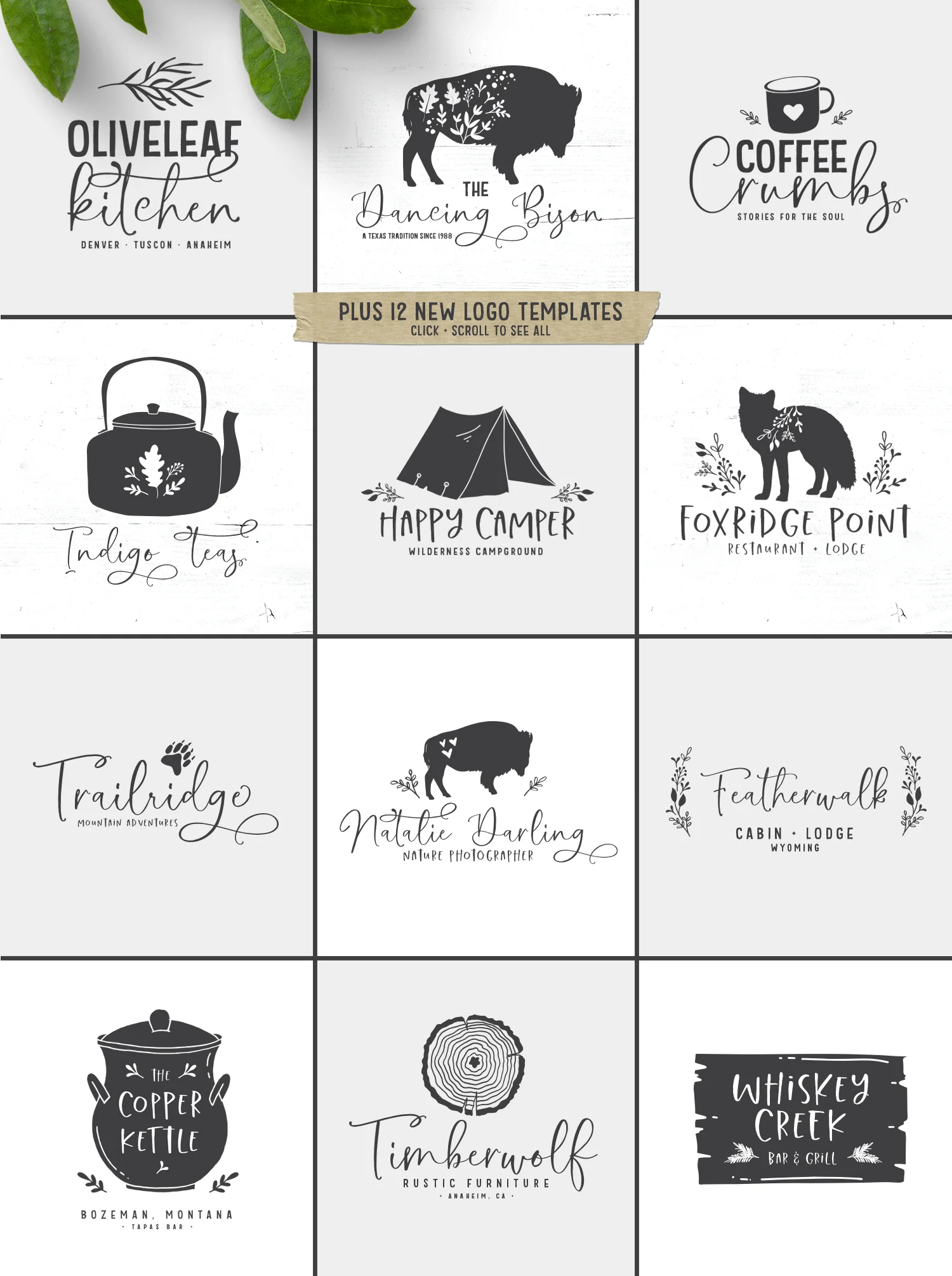 Thicket&Thatch_Preview17.jpg