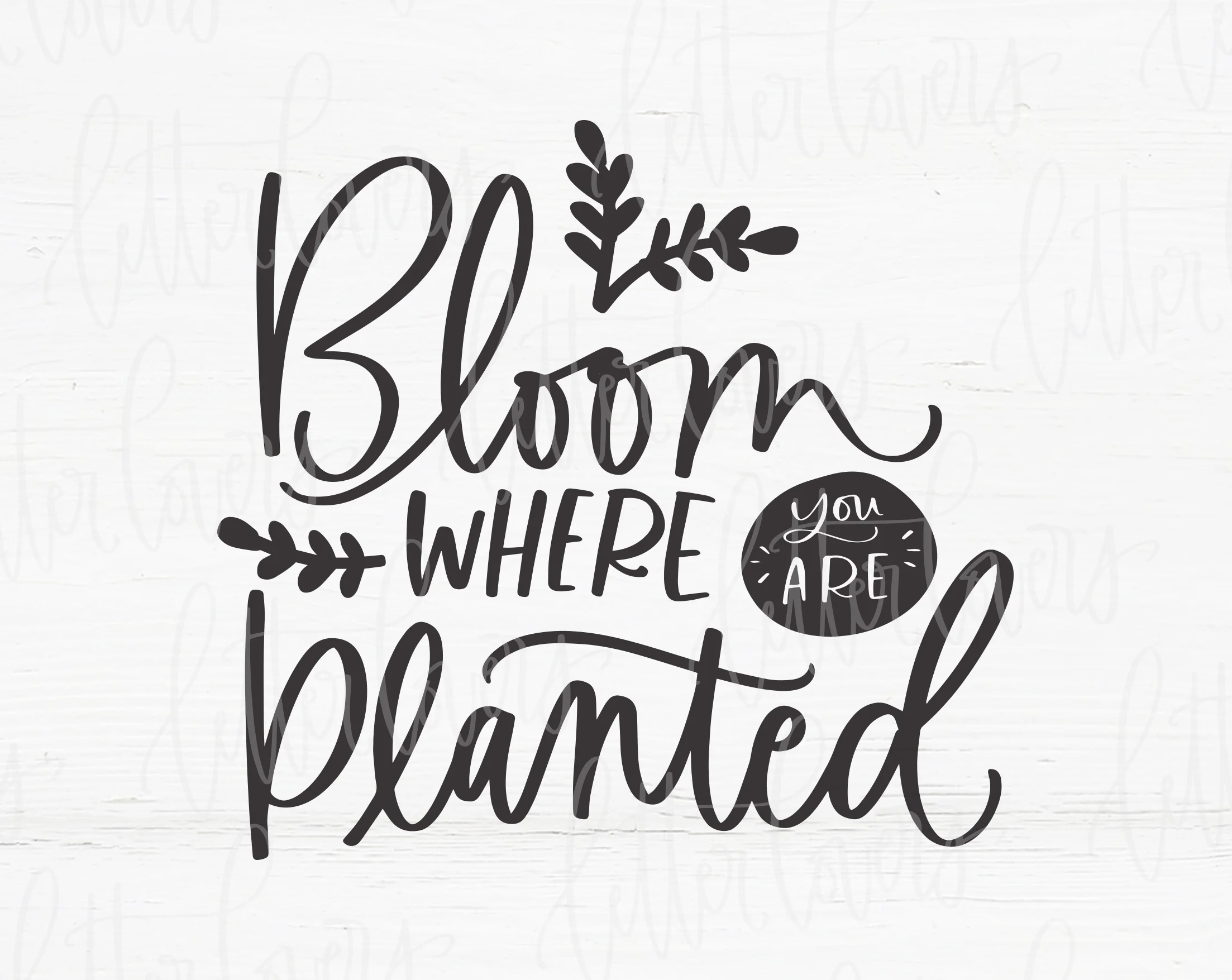 BloomPlanted_Preview3.jpg
