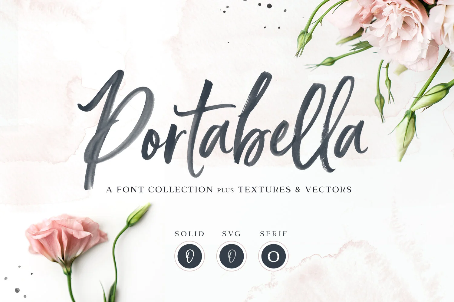 Portabella_Preview_1.jpg