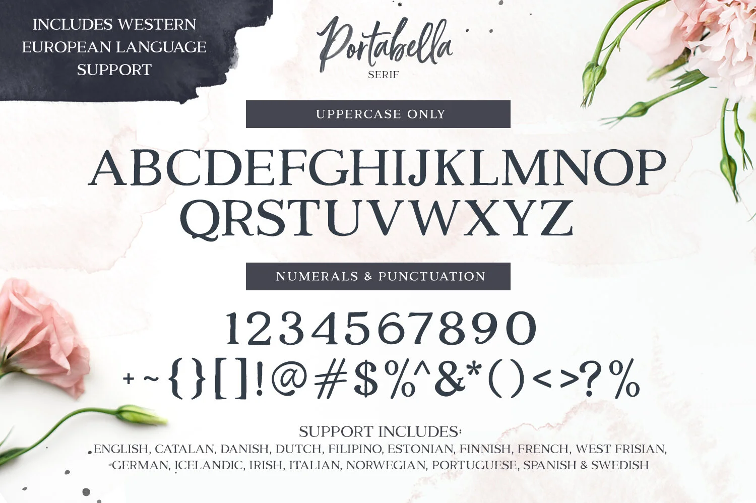 Portabella_Preview_12.jpg