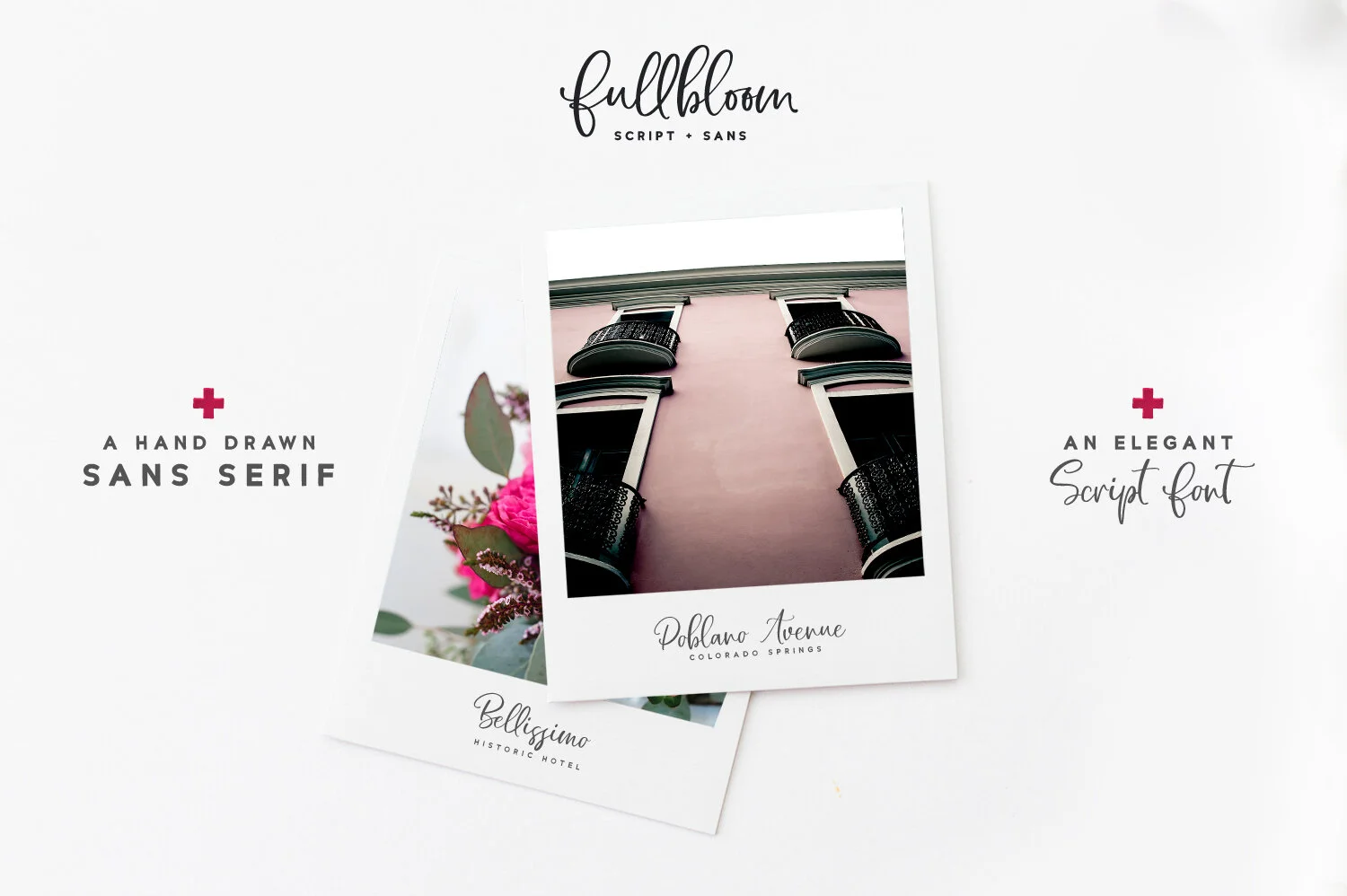 Fullbloom_Preview2.jpg