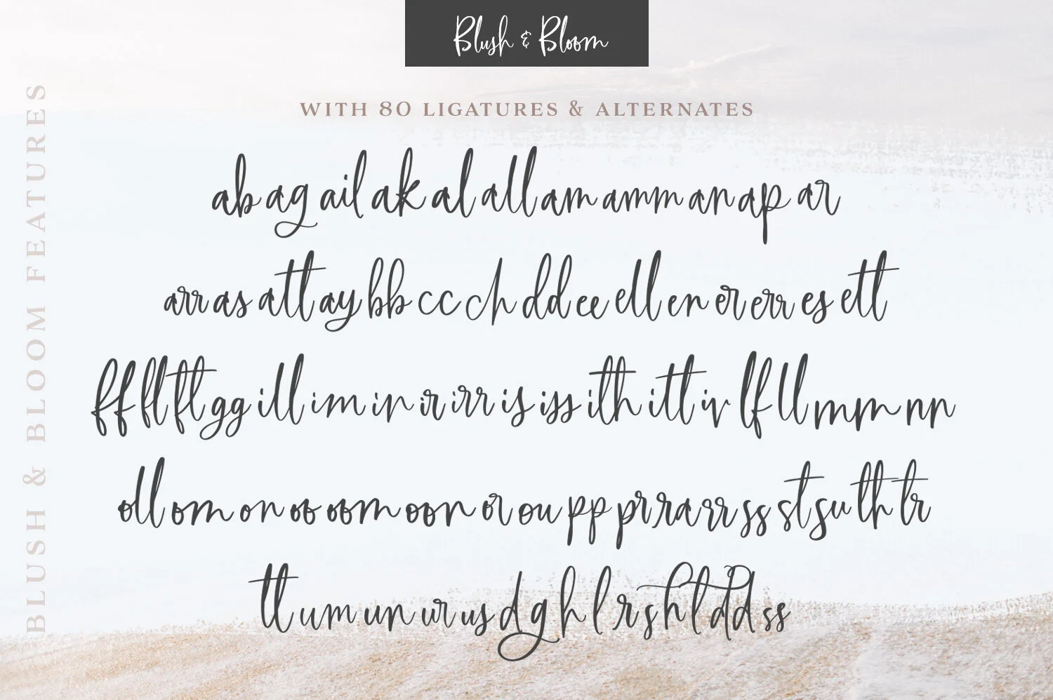 BlushBloom_Preview12.jpg