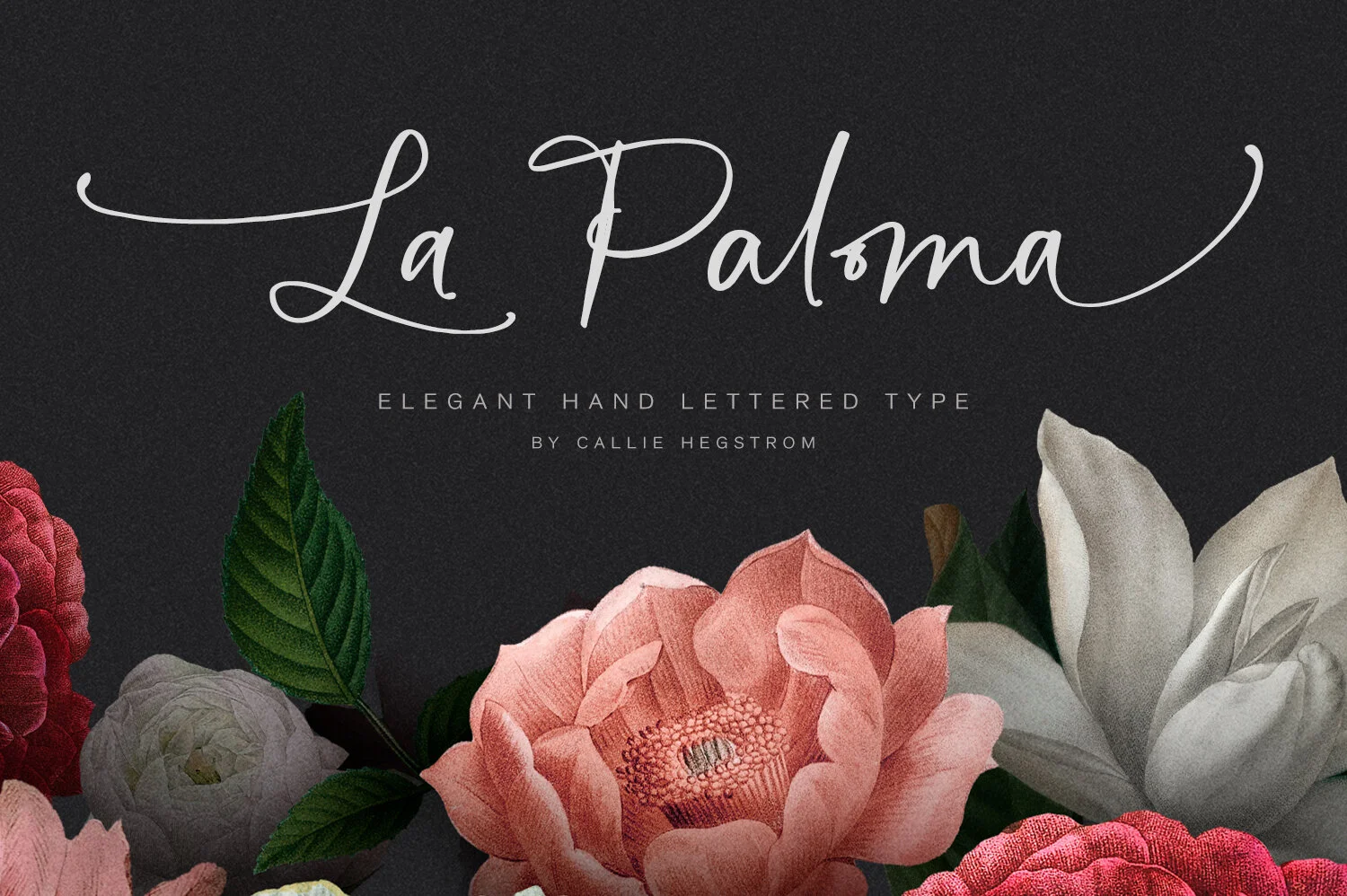 LaPaloma_Preview1.2.jpg