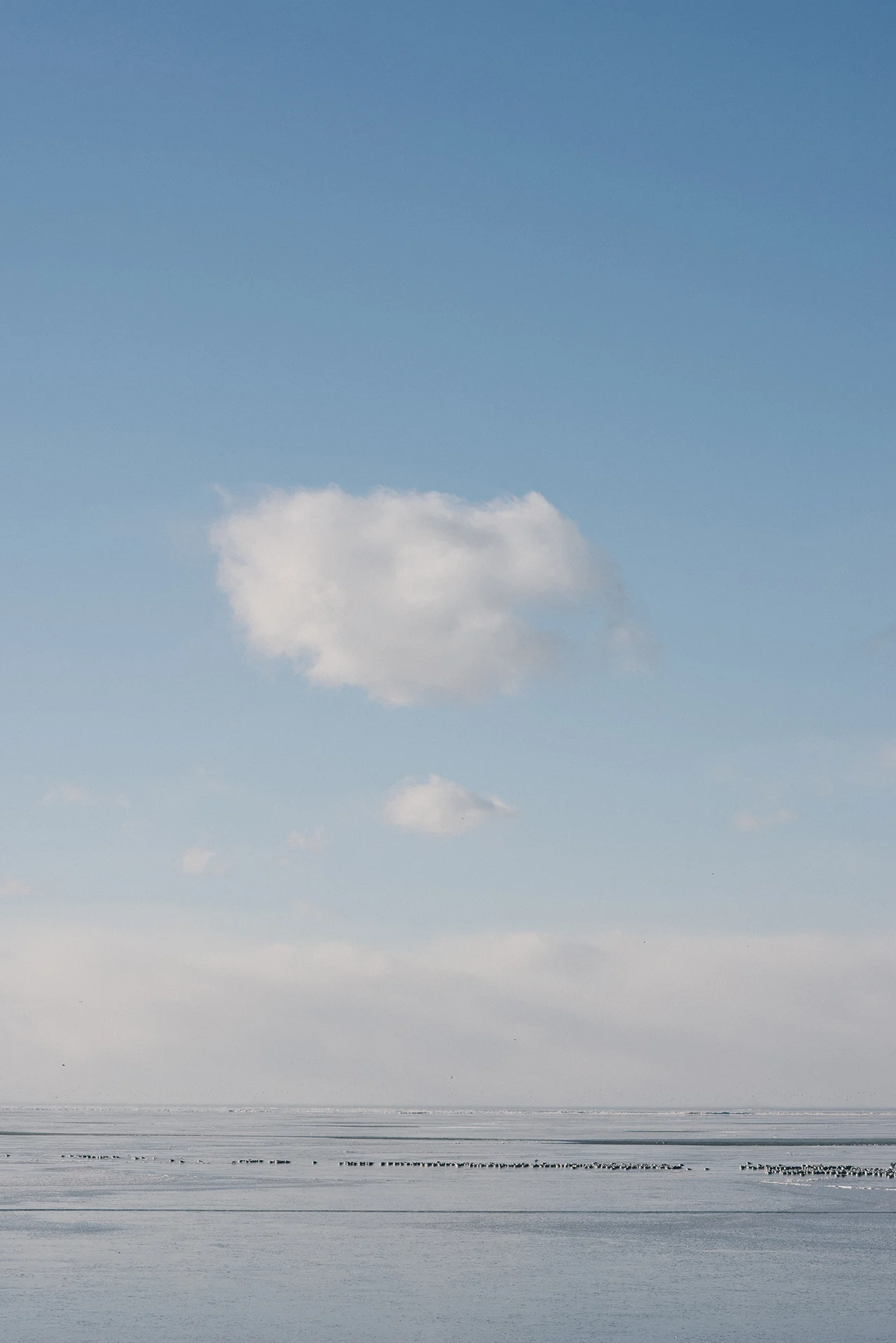 _DF81255.jpg