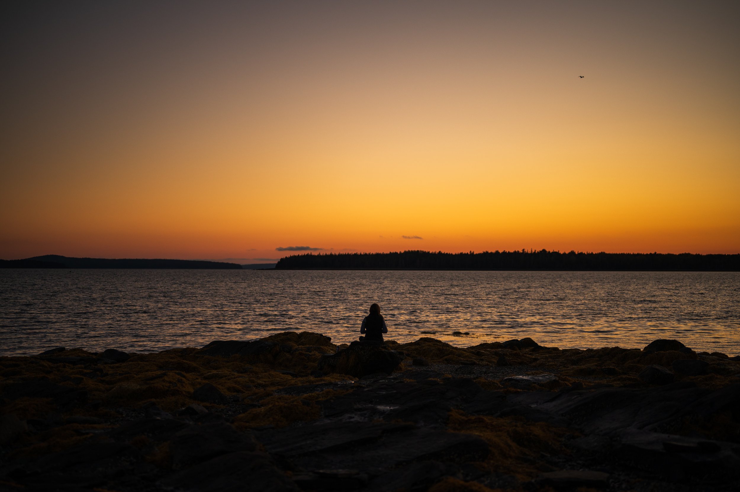 201005_AcadiaNationalPark_Maine_026.jpg