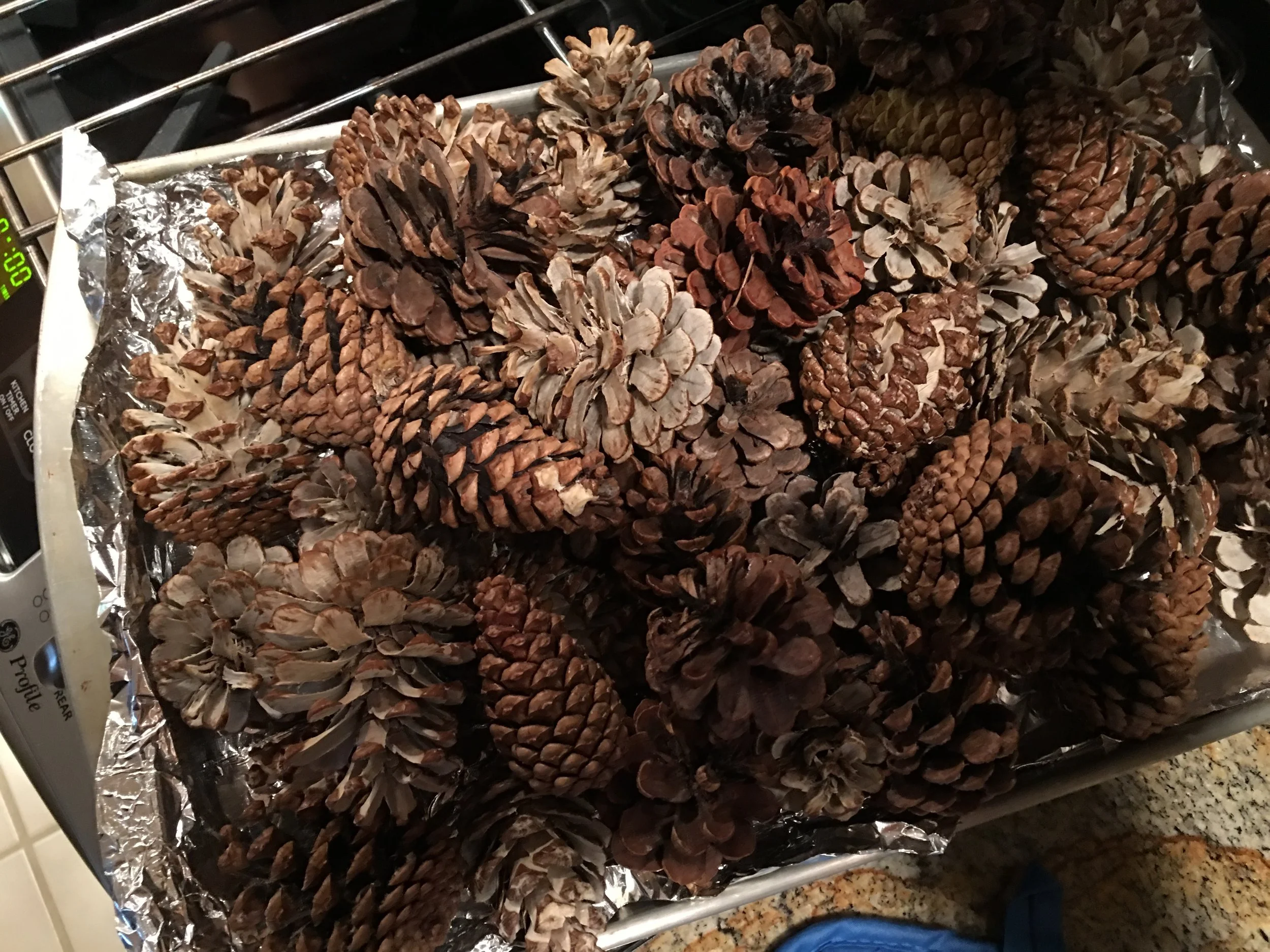MAKE YOUR OWN WAXDIPPED SCENTED PINECONE FIRE STARTERS — Loreen