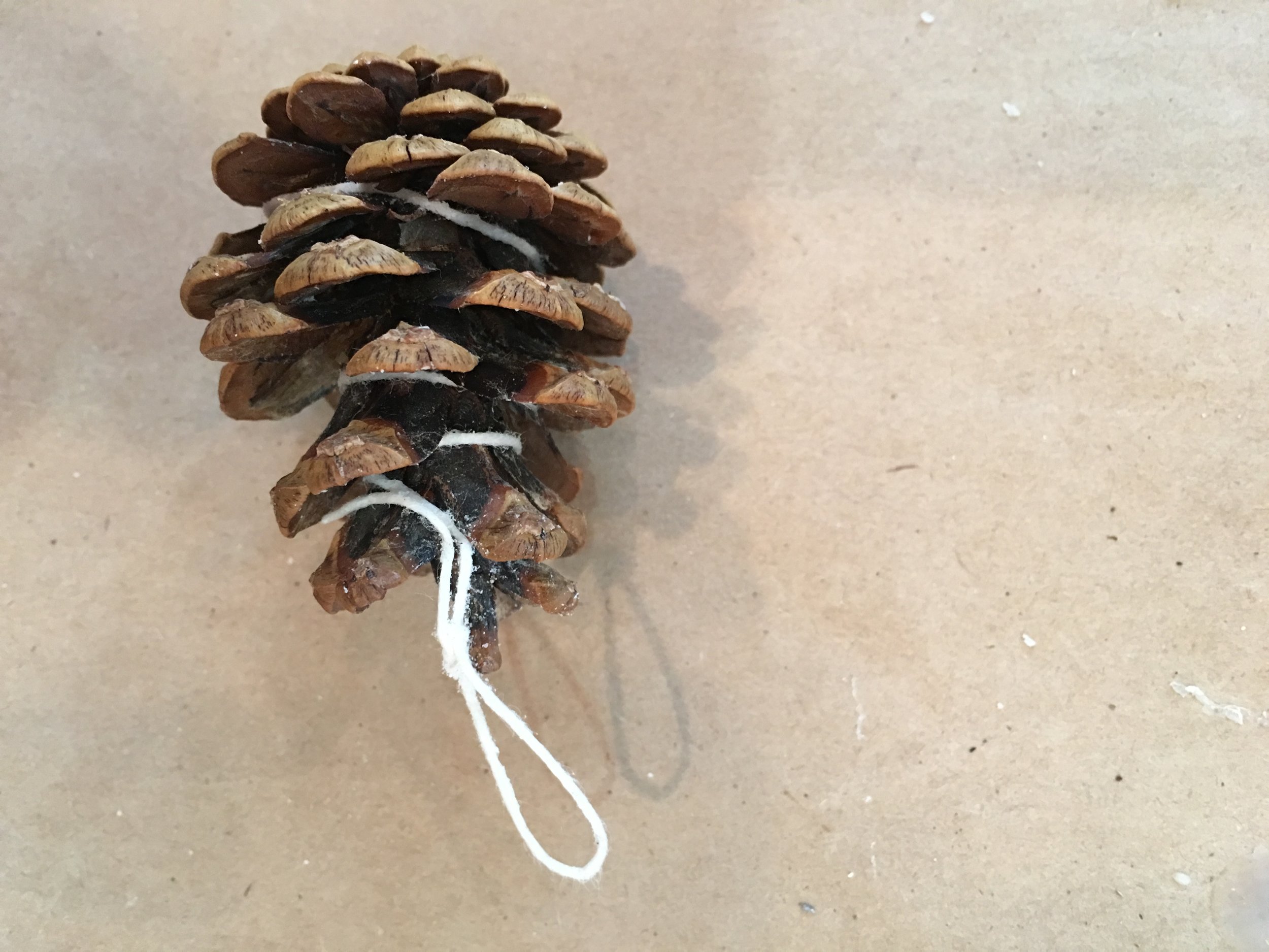 Pinecone wrapped with wick cording.