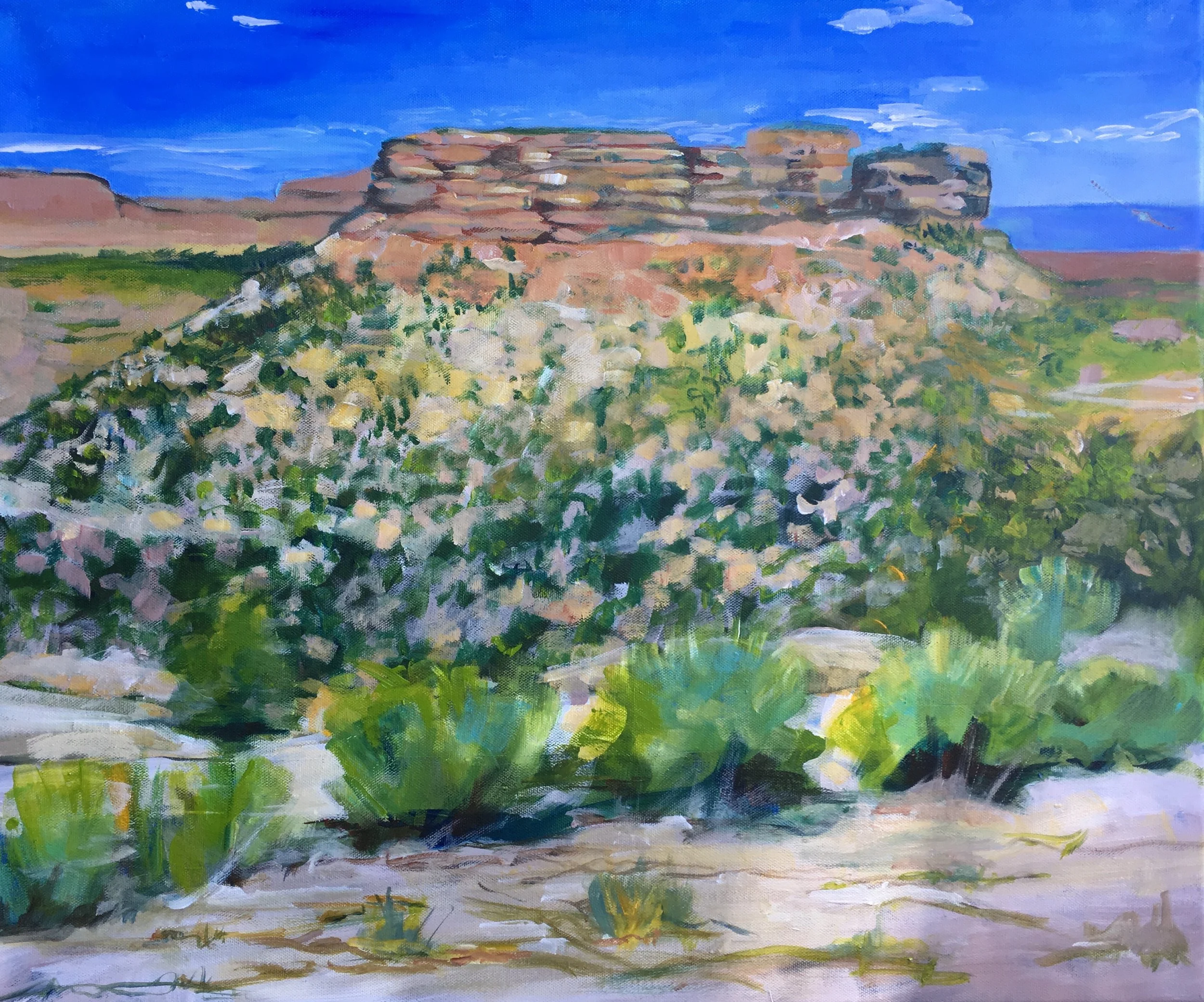 umcompahgre-colorado