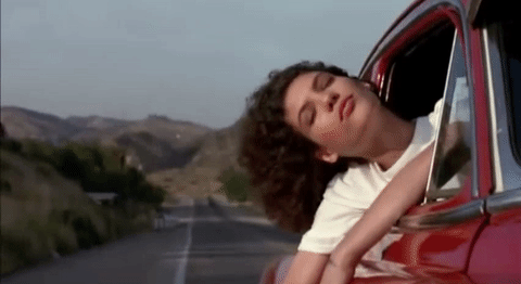 giphy-7.gif