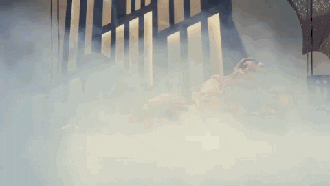 giphy.gif