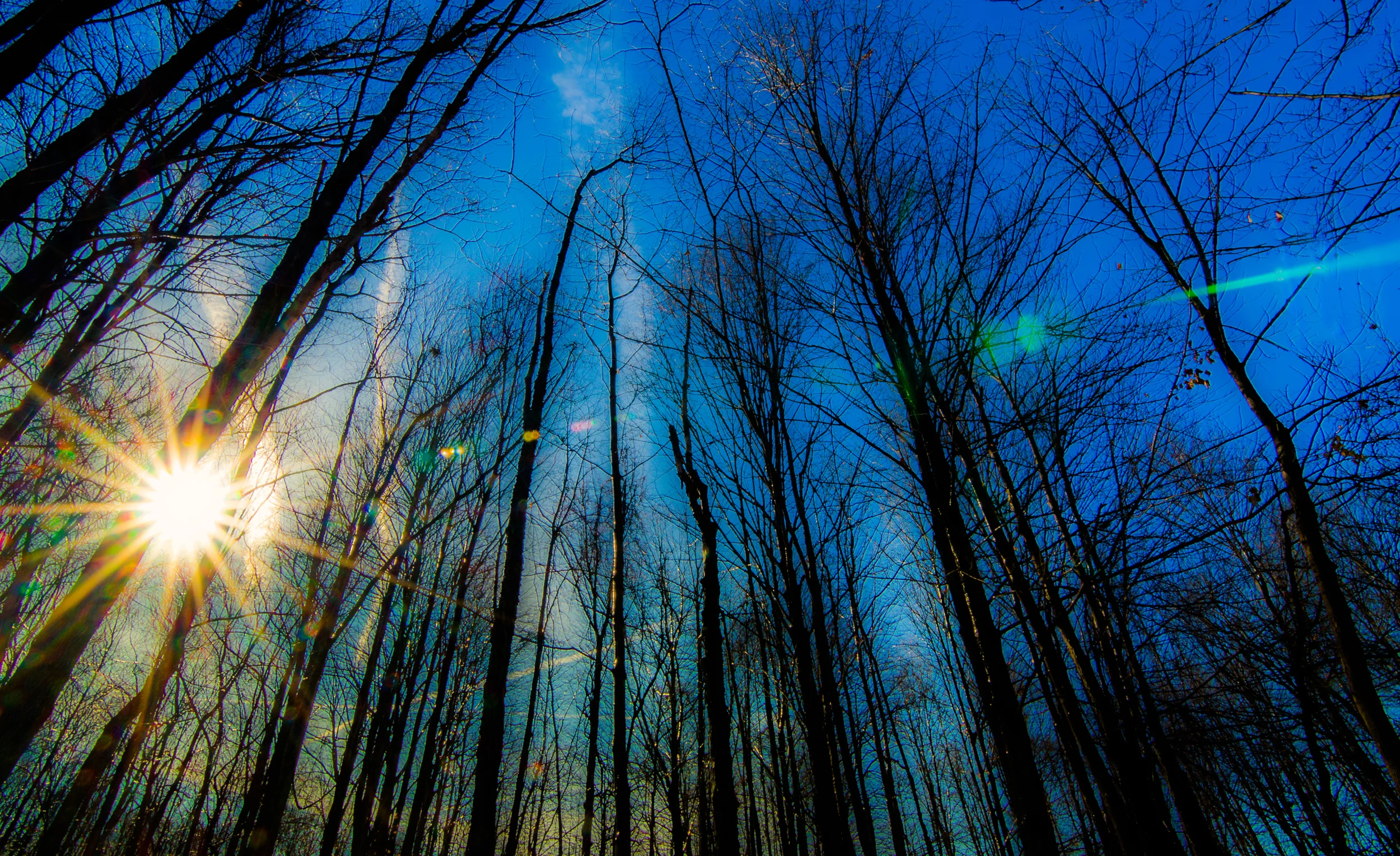 TAG_2910-edit10.jpg