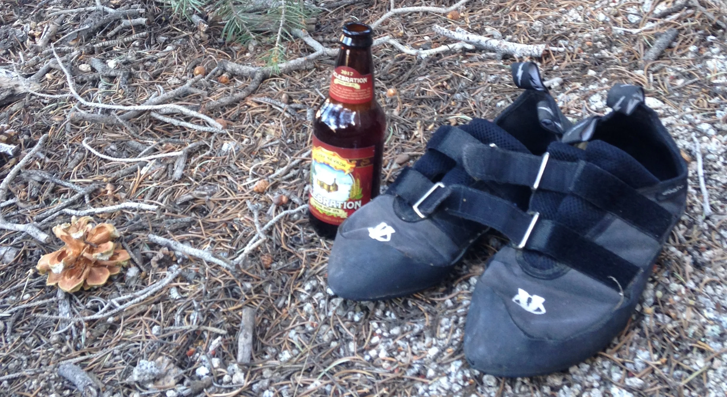 Brewery Closed For Holiday Staff Party