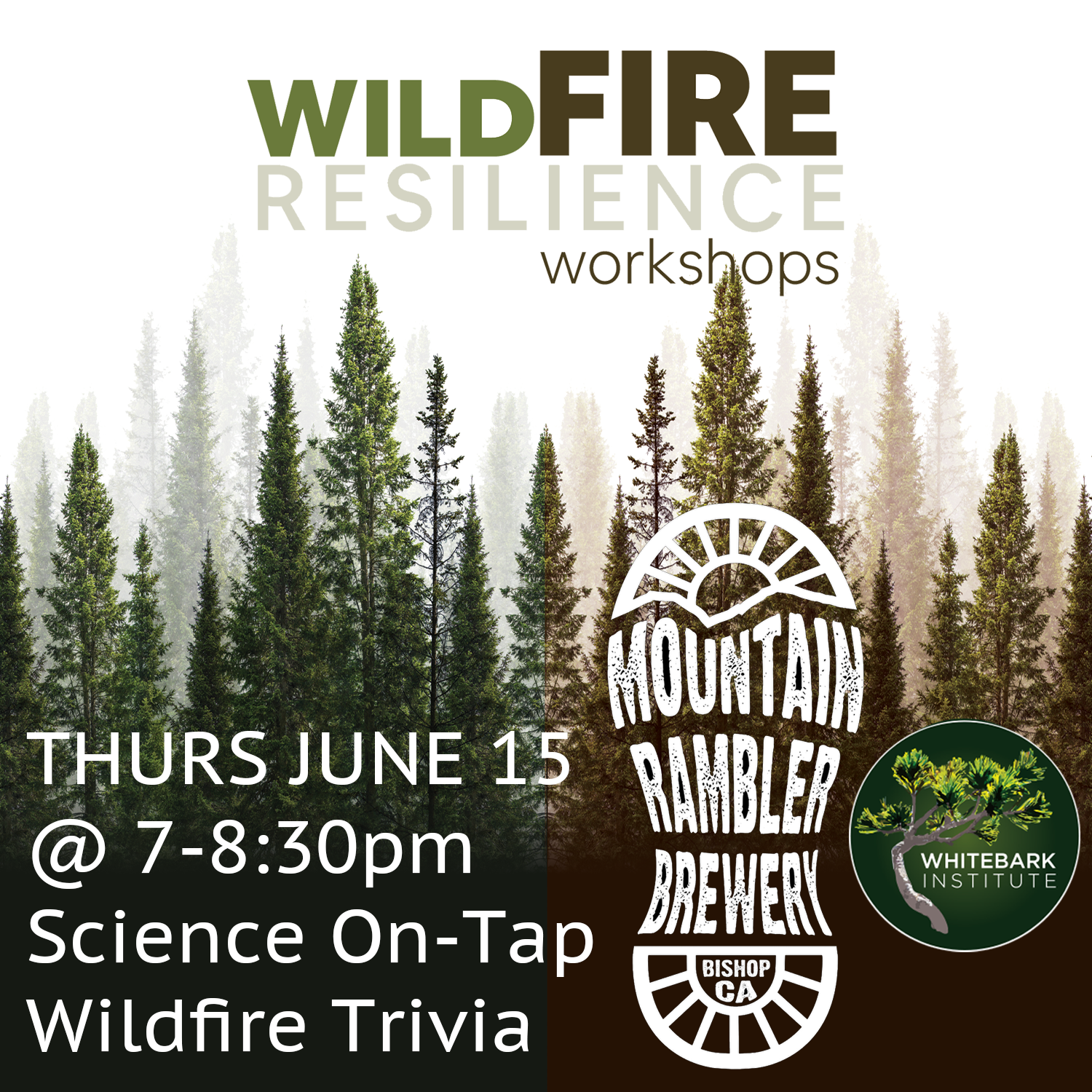 Whitebark Institute: Science On-Tap Wildfire Trivia
