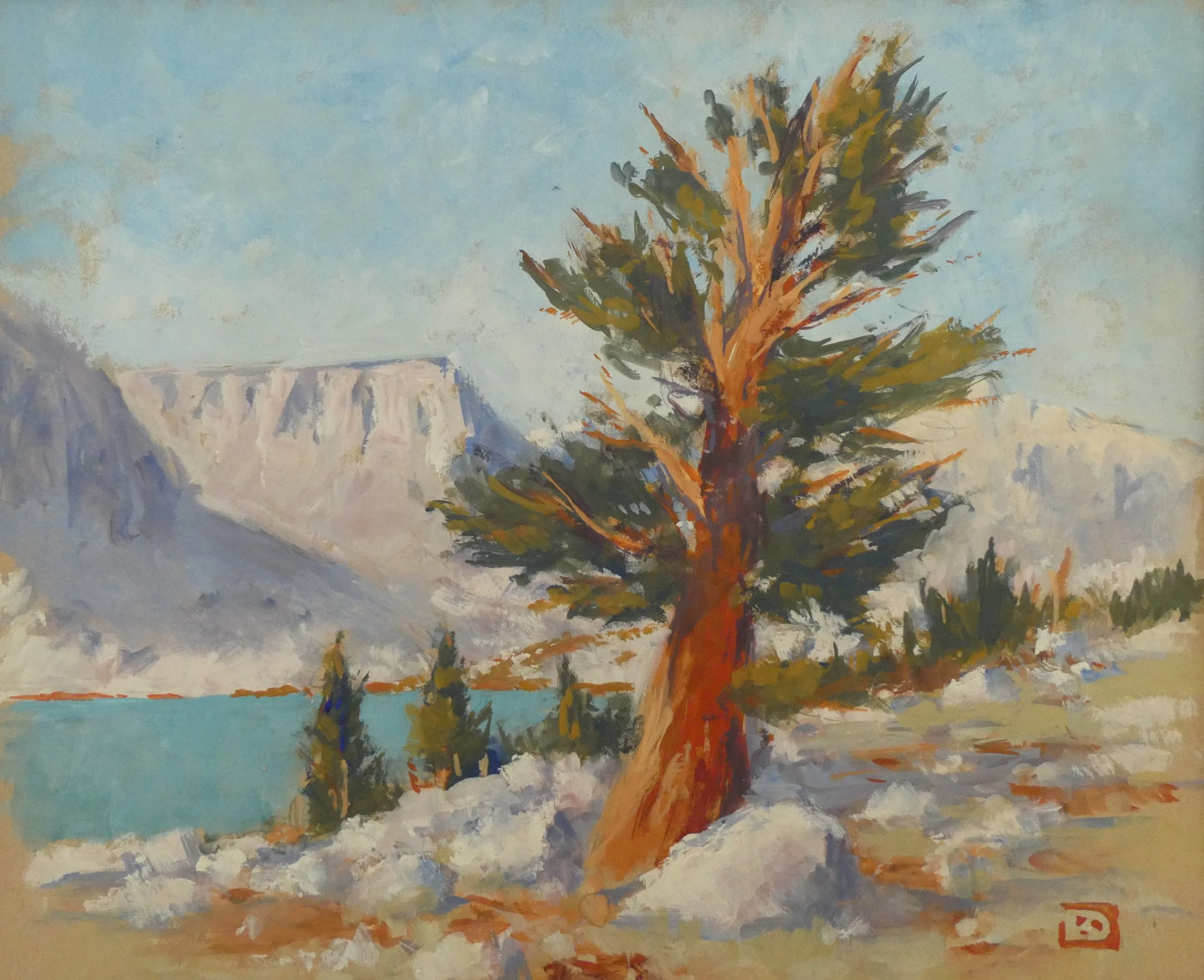 Foxtail Pine, Cottonwood Lake 3