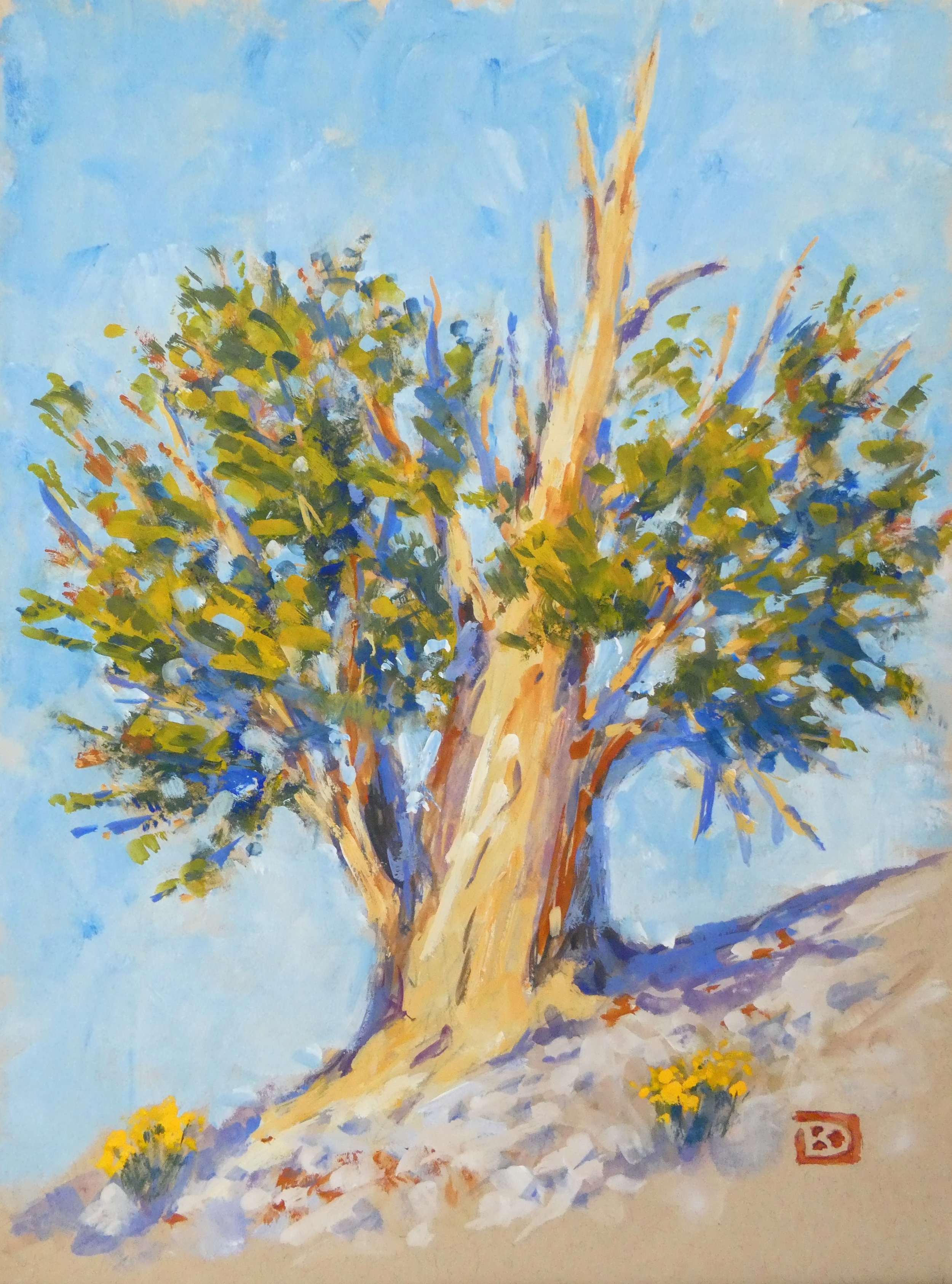 Schulman Grove Bristlecone Pine #2