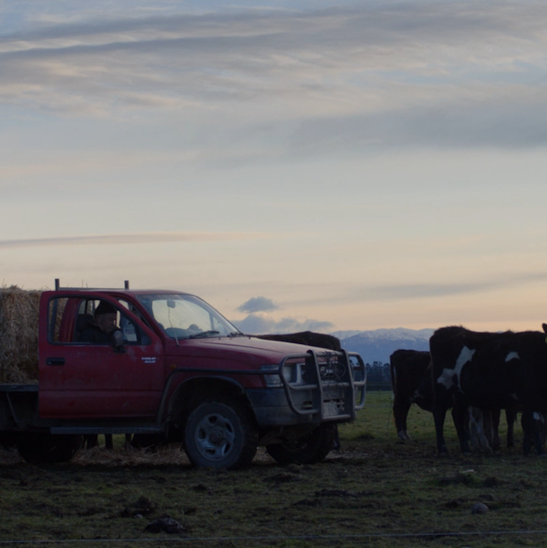 Screen Shot 2021-10-13 at 4.16.05 PM.png