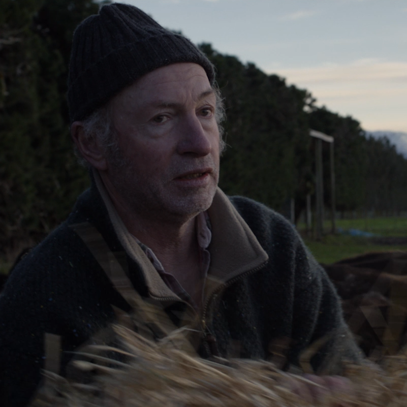 Screen Shot 2021-10-13 at 4.15.02 PM.png