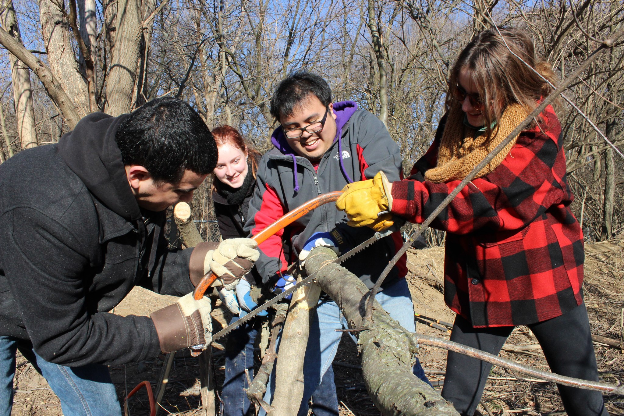 12. Cutting A Tree.jpg
