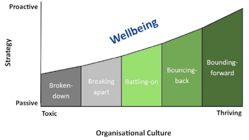 CreatingACultureOfCare_WhereIsYourOrganisationAt.jpg