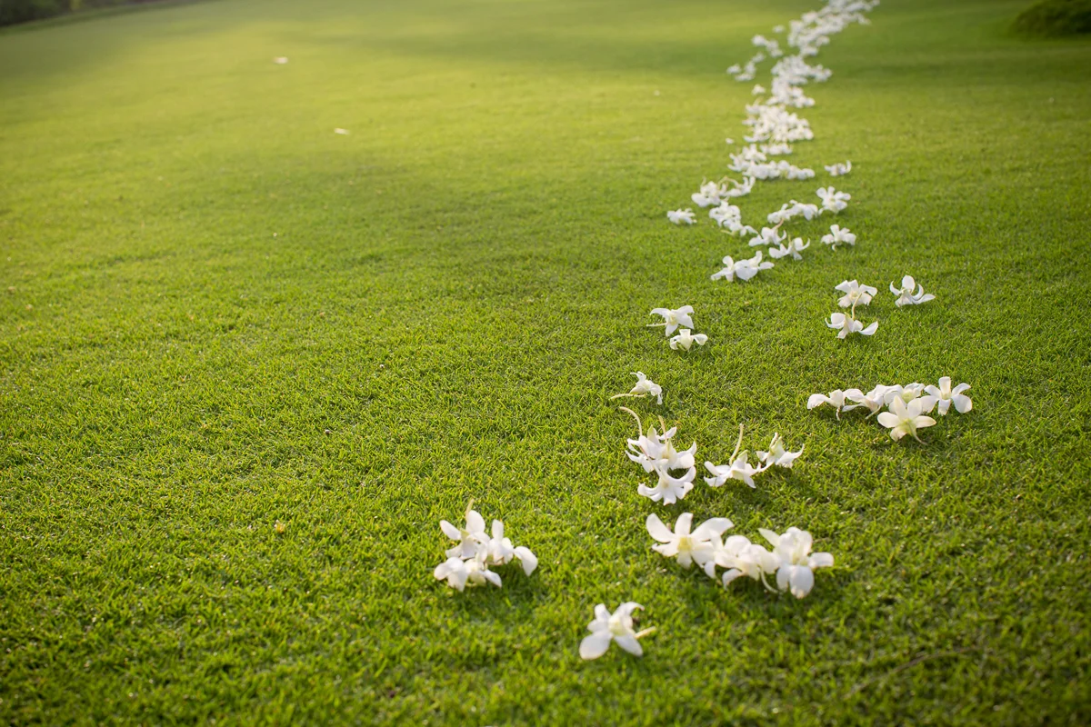 WEDDINGEXPORT-89.jpg