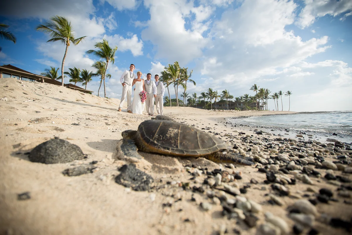 WEDDINGEXPORT-102.jpg