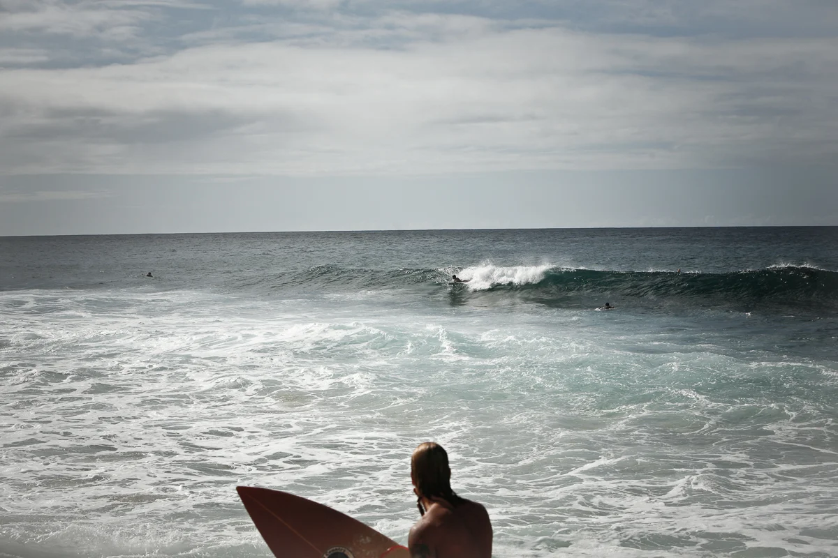 HAWAIIEXPORT-1.jpg
