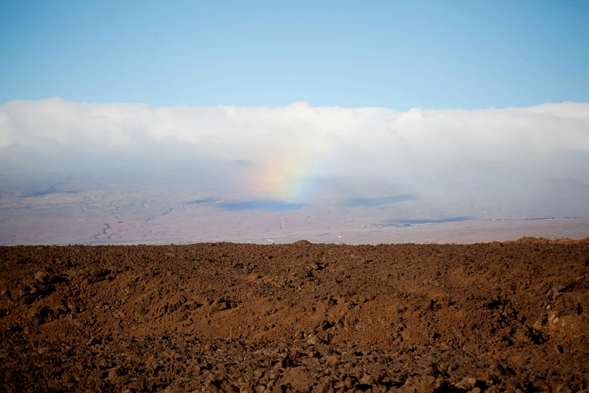 HAWAIIEXPORT-11.jpg