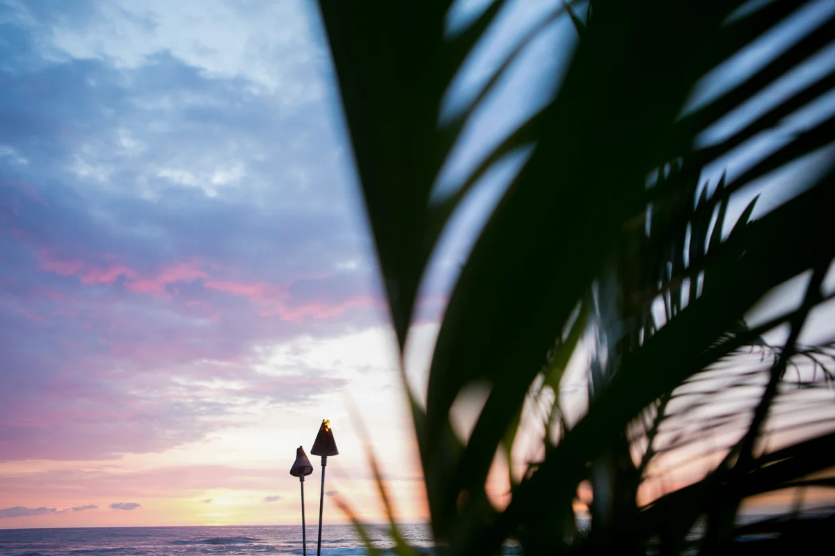 HAWAIIEXPORT-21.jpg