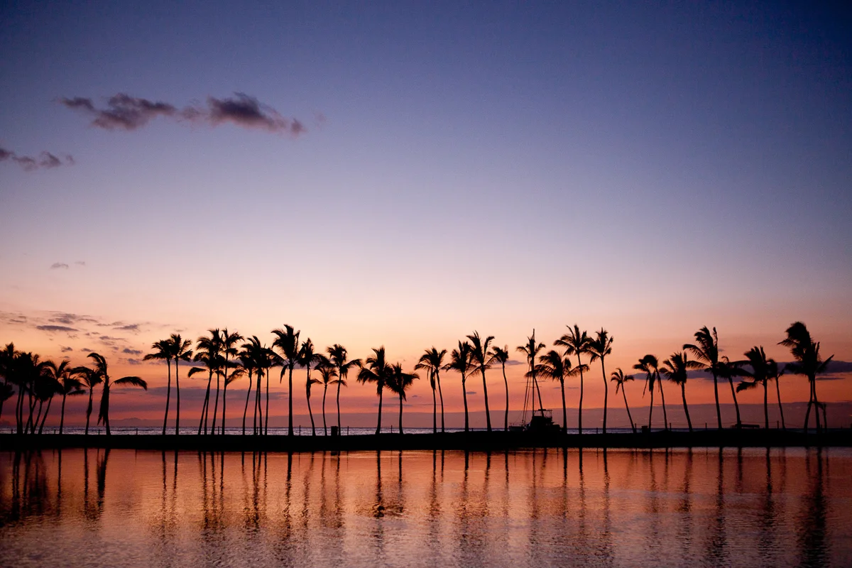 HAWAIIEXPORT-25.jpg