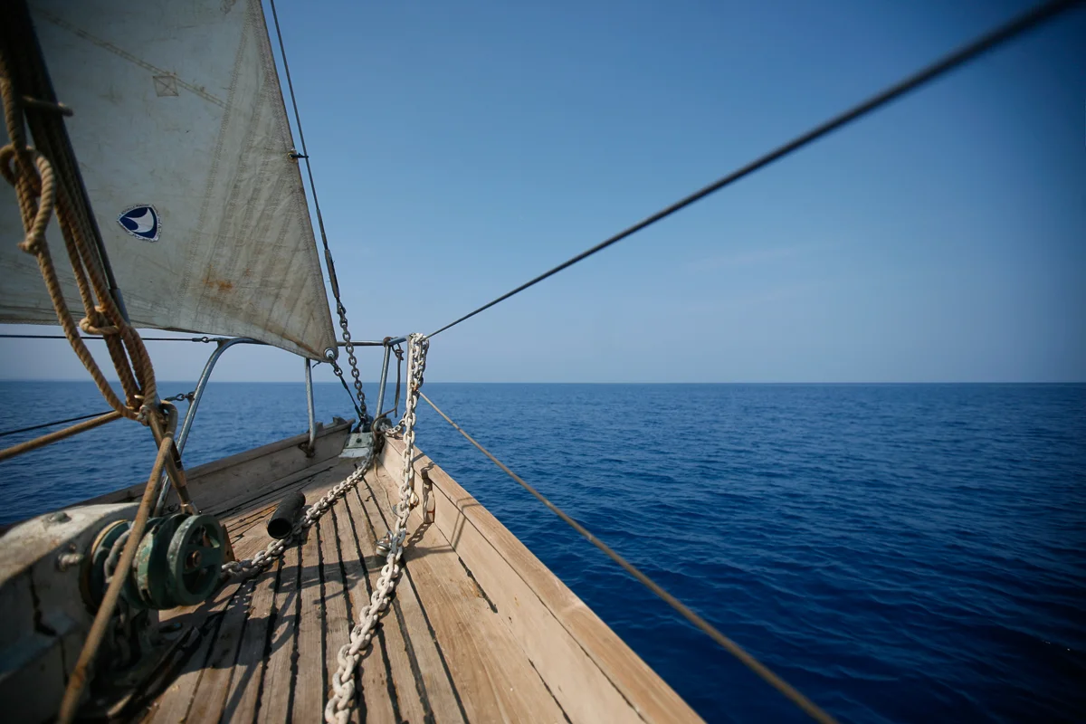 HAWAIIEXPORT-29.jpg