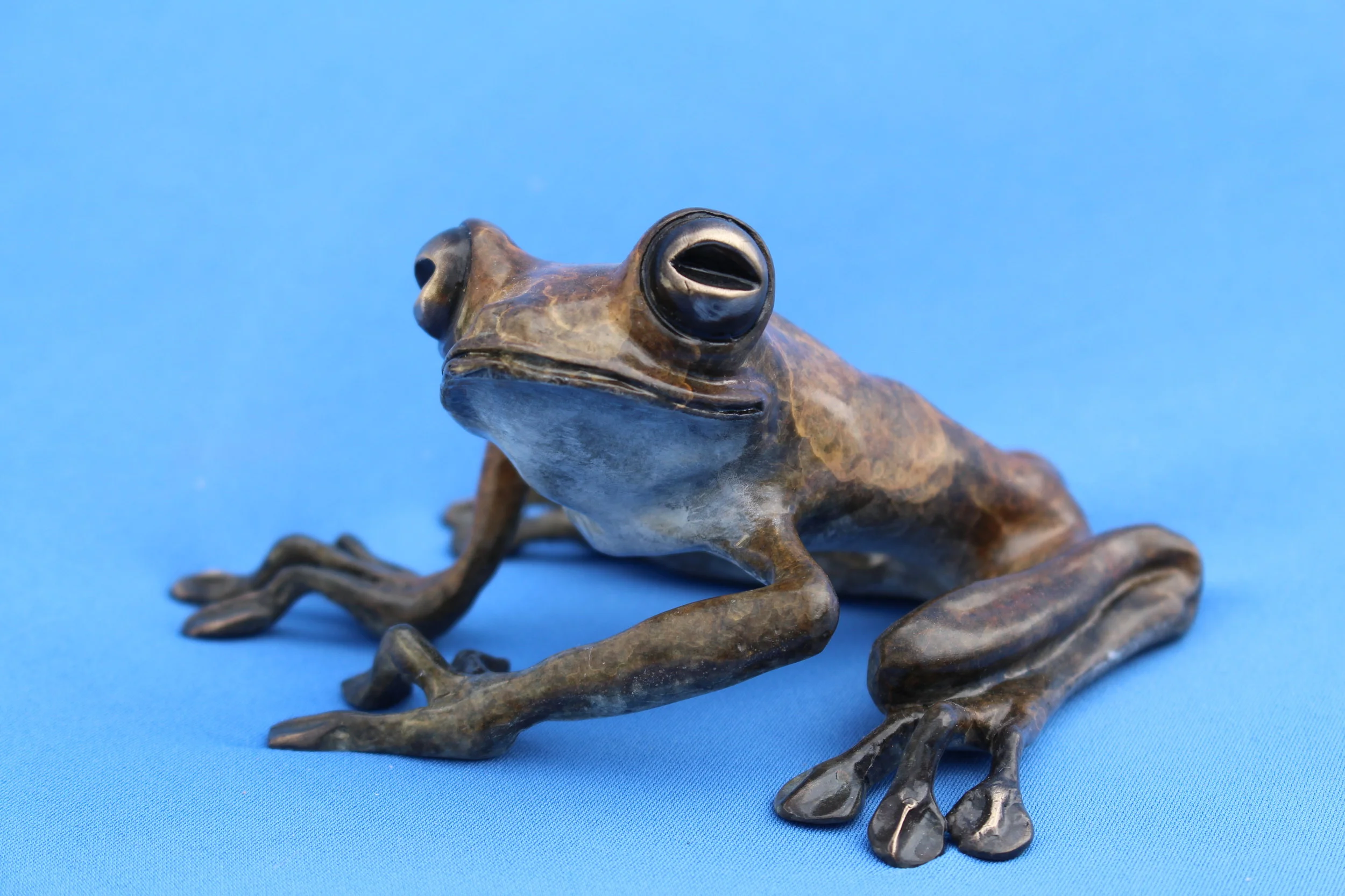 Frogs Bronze_1555.JPG