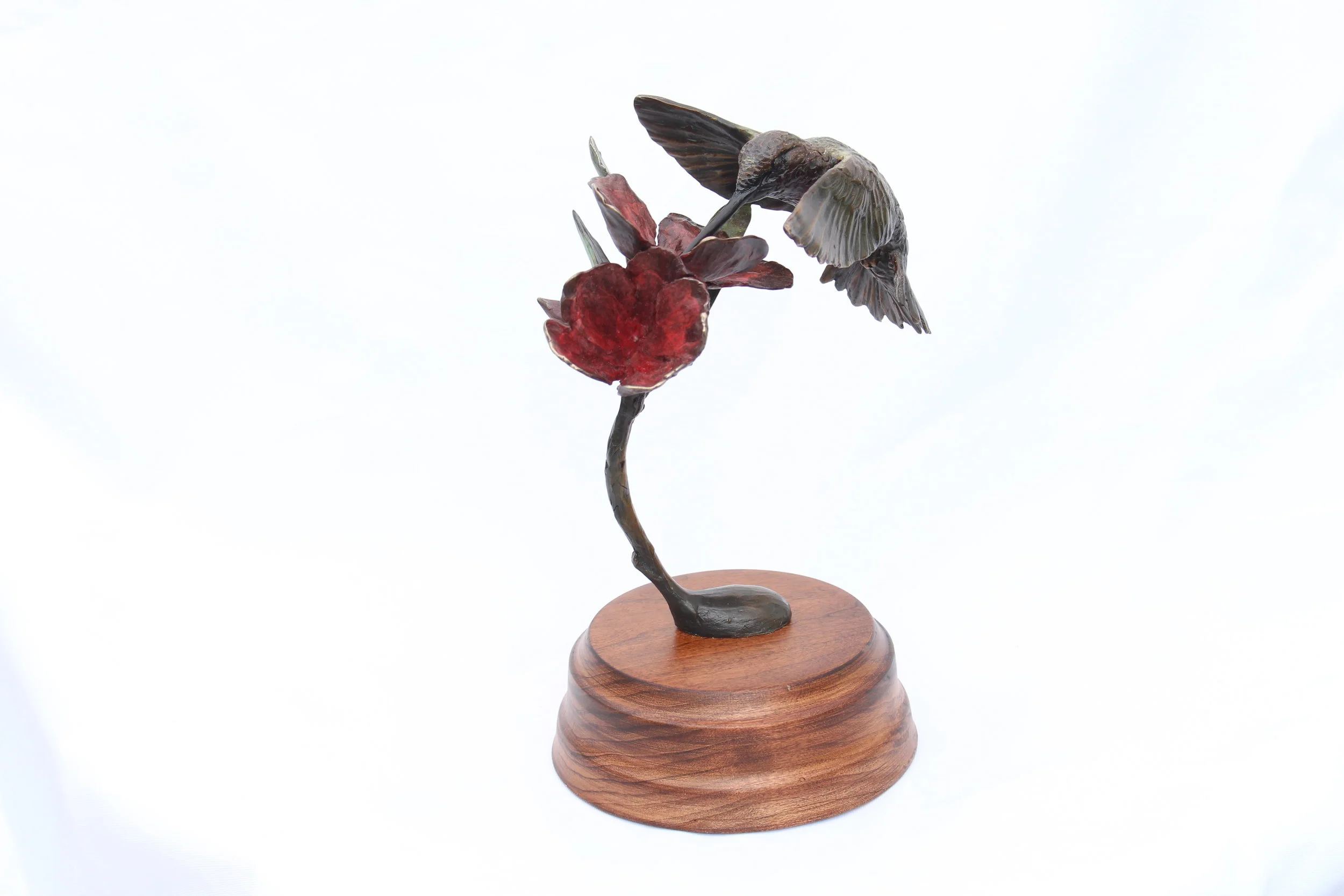 hummingbird_1243.JPG